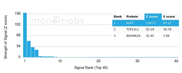 Analysis of Protein Array containing more than 19,000 full-length human proteins using Kallikrein 7 Mouse Monoclonal Antibody (KLK7/4692) 
