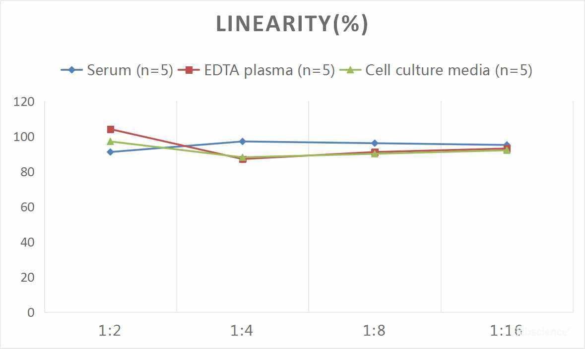 Samples were spiked with high concentrations of Human IL-33 and diluted with Reference Standard & Sample Diluent to produce samples with values within the range of the assay.