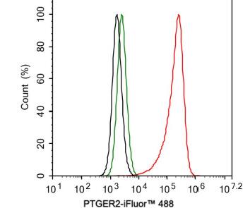 Flow Ctyometry: PTGER2 Antibody (SR1927) [NBP3-21756] - analysis of JAR cells labeling PTGER2. Cellswere fixed and permeabilized. Then stained with the primaryantibody (red) compared with Rabbit IgG Isotype Control(green). After incubation of the primary antibody at +4°C foran hour, the cells were stained with a iFluorâ’ 488conjugate-Goat anti-Rabbit IgG Secondary antibody at1/1,000 dilution for 30 minutes at +4°C. Unlabelled samplewas used as a control (cells without incubation with primaryantibody; black).
