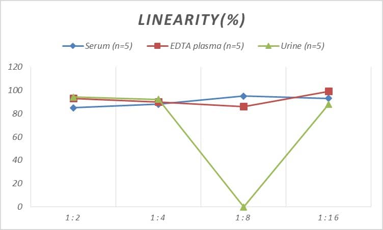 ELISA: Human alpha-Galactosidase A/GLA ELISA Kit (Colorimetric) [NBP3-23444] - Samples were spiked with high concentrations of alpha-Galactosidase A/GLA and diluted with Reference Standard & Sample Diluent to produce samples with values within the range of the assay.