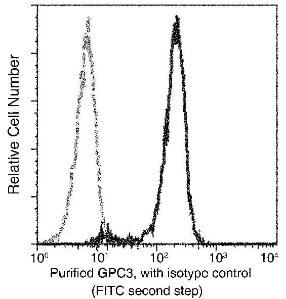 Flow Cytometry: Glypican 3 Antibody (024) [NBP3-23451] - Flow cytometric analysis of Human Glypican 3 expression on HepG2 cells. Cells were stained with NBP3-23451, then a FITC-conjugated second step antibody. The fluorescence histograms were derived from gated events with the forward and side light-scatter characteristics of intact cells.