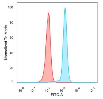 Flow Cytometric Analysis of HeLa cells using CDC5L antibody (PCRP-CDC5L-2C6) followed by goat anti-mouse IgG-CF488 (blue); isotype control (red).