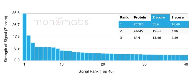 Analysis of Protein Array containing more than 19,000 full-length human proteins using PCGF3 antibody (PCRP-PCGF3-1D5) - Azide and BSA Free
