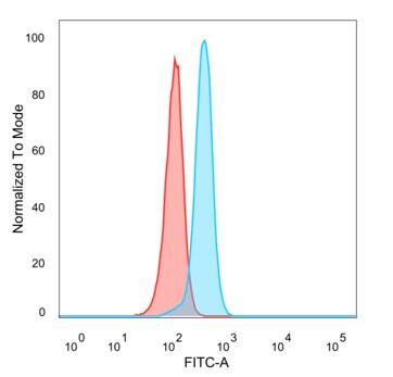 Flow Cytometric Analysis of PFA-fixed HeLa cells. AIBZIP antibody (PCRP-CREB3L4-1A3) - Azide and BSA Free followed by goat anti-mouse IgG-CF488 (blue); unstained cells (red).