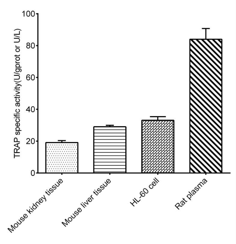 TRACP/PAP/ACP5 Activity Assay Kit (Colorimetric) [NBP3-24536] - Assay Example