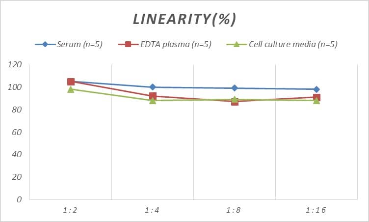 ELISA: Rat Defensin 5 ELISA Kit (Colorimetric) [NBP3-24600] - Samples were spiked with high concentrations of Rat Defensin 5 and diluted with Reference Standard & Sample Diluent to produce samples with values within the range of the assay.
