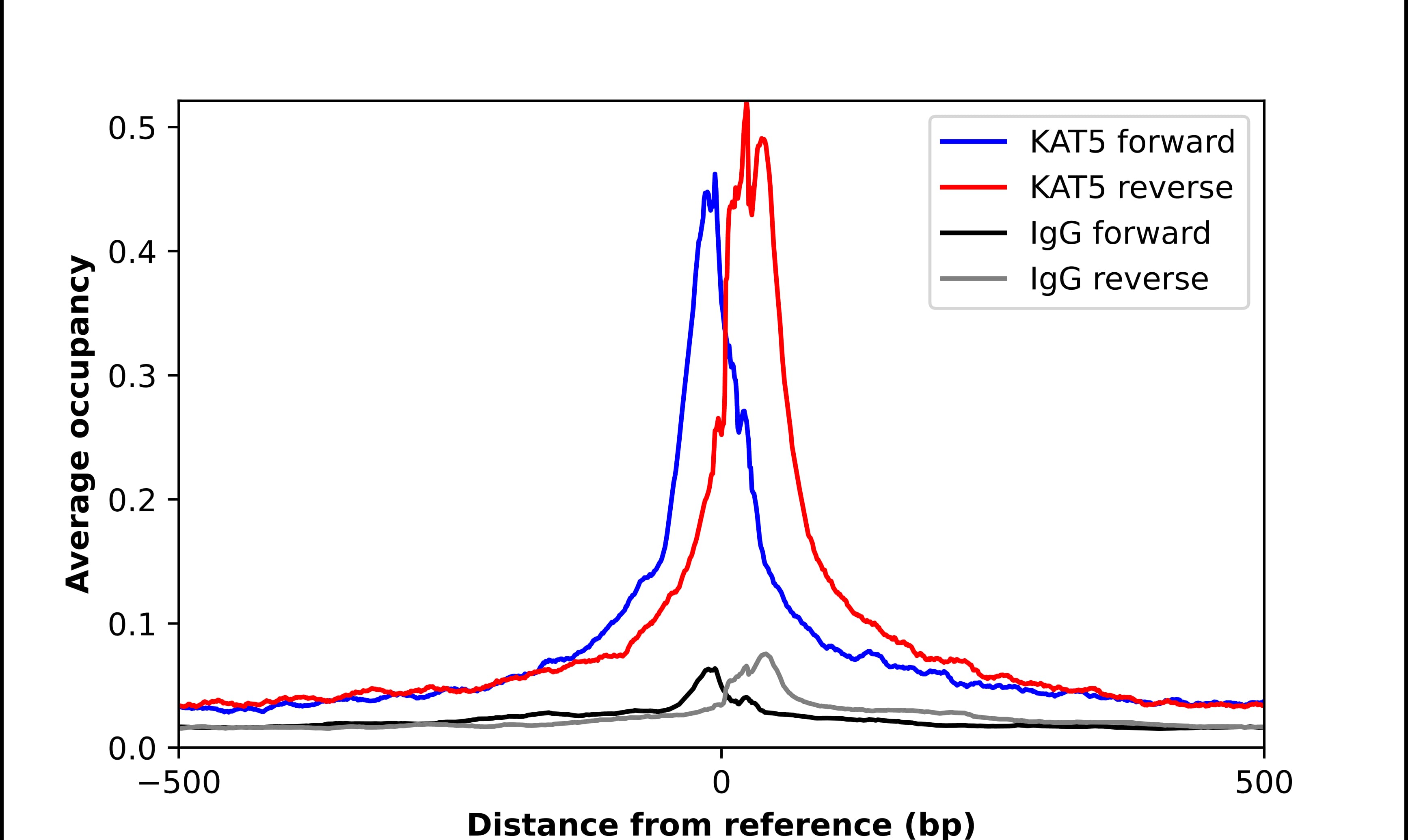 ChIP-Exo-Seq composite graph for Anti-KAT5 (NBP3-25195) tested in K562 cells. Strand-specific reads (blue: forward, red: reverse) and IgG controls (black: forward, grey: reverse) are plotted against the distance from a composite set of reference binding sites. The antibody exhibits robust target enrichment compared to a non-specific IgG control and precisely reveals its structural organization around the binding site. Data generated by Prof. B. F. Pugh´s Lab at Cornell University.