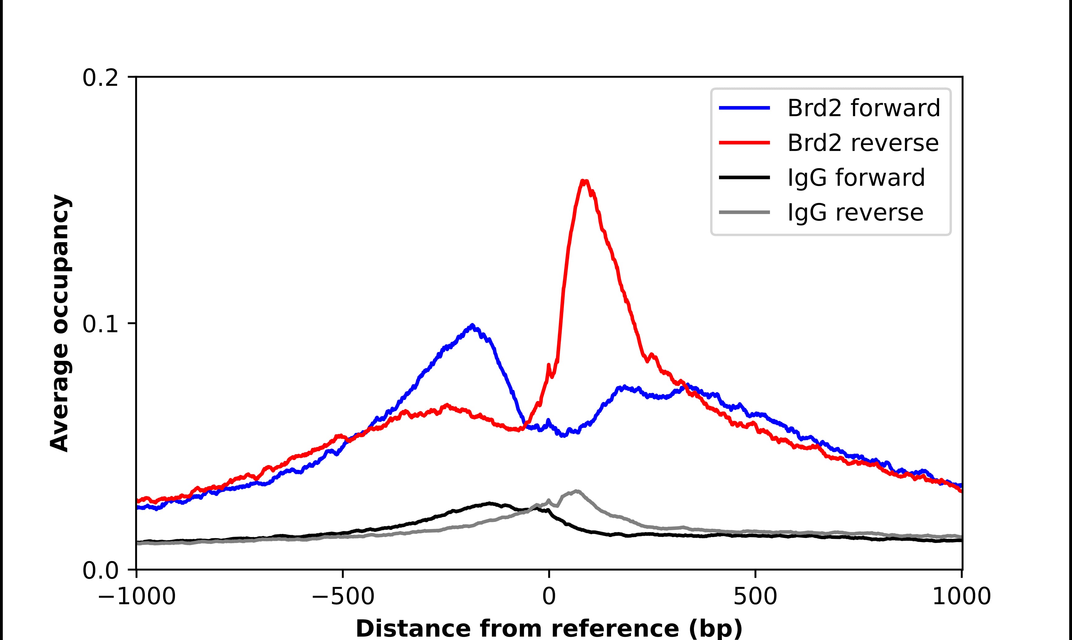 ChIP-Exo-Seq composite graph for Anti-BRD2 (NBP3-25302) tested in K562 cells. Strand-specific reads (blue: forward, red: reverse) and IgG controls (black: forward, grey: reverse) are plotted against the distance from a composite set of reference binding sites. The antibody exhibits robust target enrichment compared to a non-specific IgG control and precisely reveals its structural organization around the binding site. Data generated by Prof. B. F. Pugh´s Lab at Cornell University.