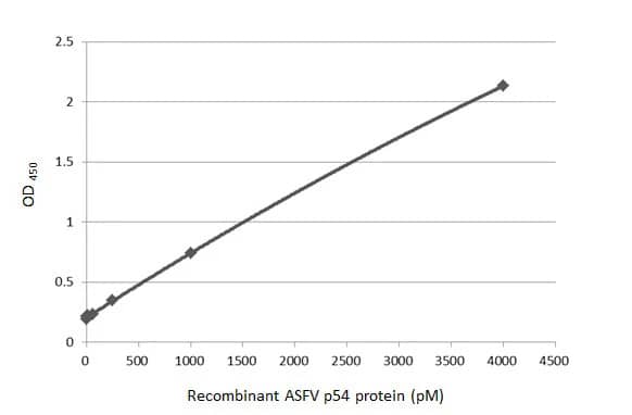 ELISA: African Swine Fever Virus p54 Antibody (HL1219) - Azide and BSA Free [NBP3-25367] - Sandwich ELISA detection of recombinant ASFV p54 using antibodies as below. Capture: ASFV p54 antibody [HL1218] (NBP3-25366) (5 ug/mL) Detection: HRP-conjugated ASFV p54 antibody [HL1219] (NBP3-25367) (0.1 ug/mL) Please notice that NBP3-25367 needs to be conjugated to HRP to function as the detection antibody when paired with NBP3-25366. Please contact us for custom HRP-conjugated antibody.