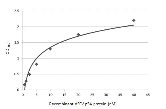 ELISA: African Swine Fever Virus p54 Antibody (HL1219) - Azide and BSA Free [NBP3-25367] - Indirect ELISA analysis performed by coating plate with recombinant recombinant HEK293 expressed, full-length ASFV p54 (40-0.63 nM). Coated protein was probed with ASFV p54 antibody [HL1219] (NBP3-25367) (1 ug/mL). Goat anti-rabbit IgG antibody (HRP) (1:10000) was used to detect bound primary antibody.