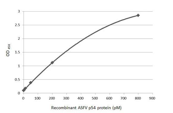 ELISA: African Swine Fever Virus p54 Antibody (HL1286) - Azide and BSA Free [NBP3-25368] - Sandwich ELISA detection of recombinant recombinant HEK293 expressed, full-length ASFV p54 using antibodies as below. Capture: ASFV p54 antibody [HL1287] (NBP3-25369) (5 ug/mL) Detection: HRP-conjugated ASFV p54 antibody [HL1286] (NBP3-25368) (1 ug/mL) Please notice that NBP3-25368 needs to be conjugated to HRP to function as the detection antibody when paired with NBP3-25369. Please contact us for custom HRP-conjugated antibody.