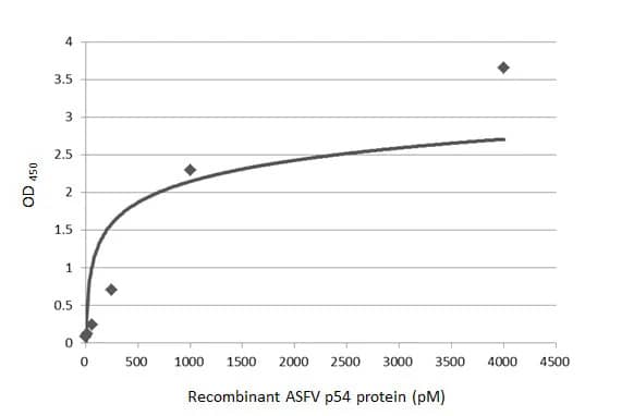 ELISA: African Swine Fever Virus p54 Antibody (HL1286) - Azide and BSA Free [NBP3-25368] - Sandwich ELISA detection of recombinant recombinant HEK293 expressed, full-length ASFV p54 using antibodies as below. Capture: ASFV p54 antibody [HL1286] (NBP3-25368) (5 ug/mL) Detection: HRP-conjugated ASFV p54 antibody [HL1289] (NBP3-25370) (1 ug/mL) Please notice that NBP3-25370 needs to be conjugated to HRP to function as the detection antibody when paired with NBP3-25368. Please contact us for custom HRP-conjugated antibody.
