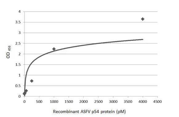 ELISA: African Swine Fever Virus p54 Antibody (HL1287) - Azide and BSA Free [NBP3-25369] - Sandwich ELISA detection of recombinant recombinant HEK293 expressed, full-length ASFV p54 using antibodies as below. Capture: ASFV p54 antibody [HL1289] (NBP3-25370) (5 ug/mL) Detection: HRP-conjugated ASFV p54 antibody [HL1287] (NBP3-25369) (1 ug/mL) Please notice that NBP3-25369 needs to be conjugated to HRP to function as the detection antibody when paired with NBP3-25370. Please contact us for custom HRP-conjugated antibody.