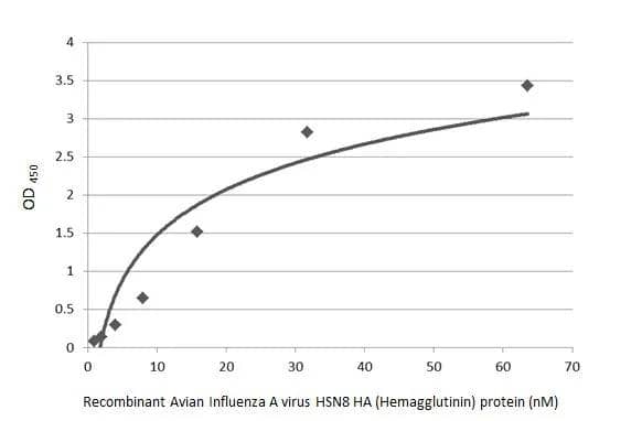 Indirect ELISA analysis was performed by coating the plate with recombinant HEK293 expressed, full-length Avian Influenza A virus HSN8 HA (Hemagglutinin) protein (63.49-0.99 nM). Coated protein was probed with Avian Influenza A virus H5N8 HA (Hemagglutinin) antibody [HL1550] (NBP3-25375) (1 ug/mL). Goat anti-rabbit IgG antibody (HRP)  (1:10000) was used to detect the bound primary antibody. 