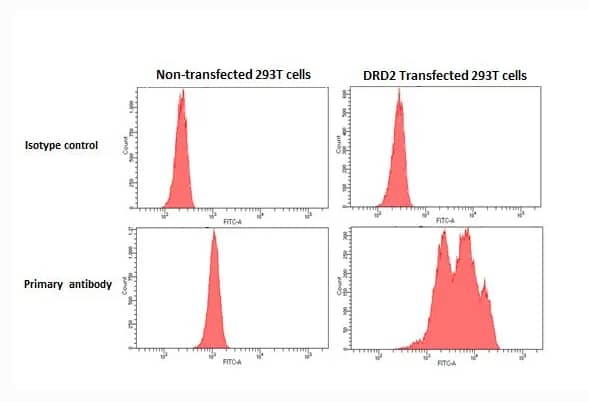 Dopamine Receptor D2 antibody [HL1584] detects DRD2 protein by flow cytometry analysis.Sample: Non-transfected and transfected 293T cells were fixed in 4% paraformaldehyde at 4ºC for 15 min and washed with 0.1% saponin buffer to permeabilize the cell membrane.The cells were following stained with Dopamine Receptor D2 antibody [HL1584] diluted at 1:50 or a Rabbit IgG isotype control control at 4ºC for 1 hour.