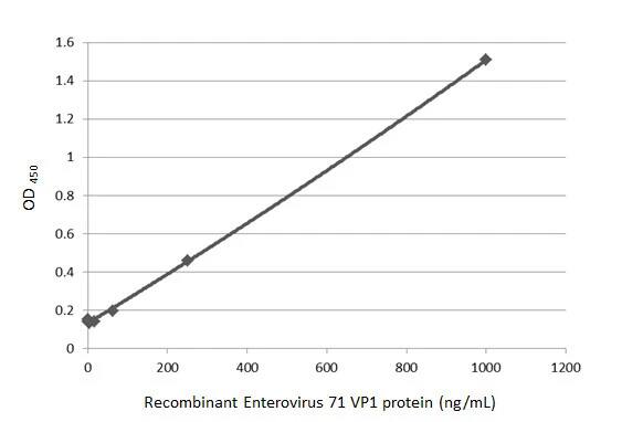 ELISA: Enterovirus 71 VP1 Antibody (HL1928) - Azide and BSA Free [NBP3-25450] - Sandwich ELISA detection of recombinant full-length Enterovirus 71 VP1 protein using antibodies as below. Capture: Enterovirus 71 VP1 antibody [HL1929] (NBP3-25451) (5 ug/mL) Detection: HRP-conjugated Enterovirus 71 VP1 antibody [HL1928] (NBP3-25450) (1 ug/mL) Please notice that NBP3-25450 needs to be conjugated to HRP to function as the detection antibody when paired with NBP3-25451. Please contact us for custom HRP-conjugated antibody.