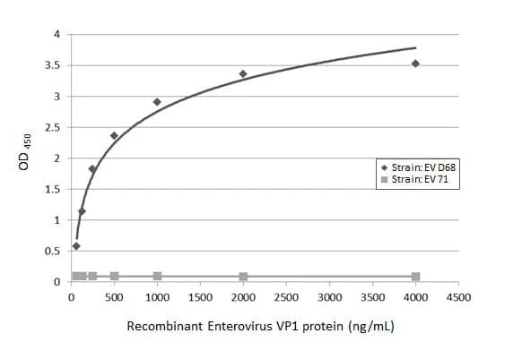 ELISA: Enterovirus D68 VP1 Antibody (HL1997) - Azide and BSA Free [NBP3-25452] - Sandwich ELISA detection of recombinant full-length VP1 protein(s) derived from different strains of Enterovirus (ie., D68; 71) using antibodies as below. Capture: Enterovirus D68 VP1 antibody [GT11610] (NBP3-13557) (5 ug/mL) Detection: Enterovirus D68 VP1 antibody [HL1997] (NBP3-25452) (1 ug/mL)