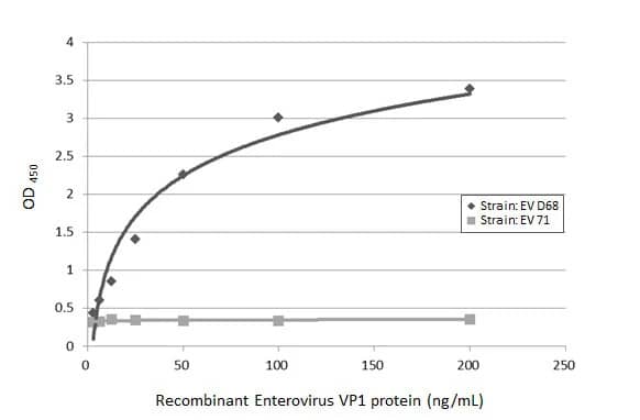 ELISA: Enterovirus D68 VP1 Antibody (HL1997) - Azide and BSA Free [NBP3-25452] - Sandwich ELISA detection of recombinant full-length VP1 protein(s) derived from different strains of Enterovirus (ie., D68; 71) using antibodies as below. Capture: Enterovirus D68 VP1 antibody [GT1843] (NBP3-13564) (5 ug/mL) Detection: Enterovirus D68 VP1 antibody [HL1997] (NBP3-25452) (1 ug/mL)