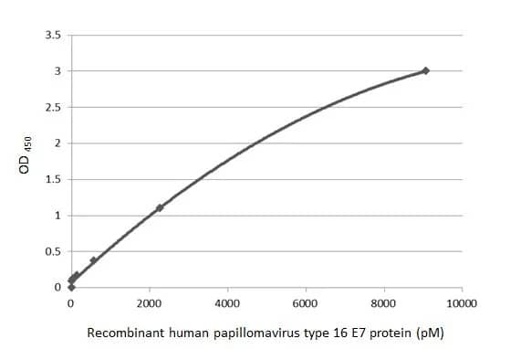 Hpv16 E7 Antibody Hl1821 Azide And Bsa Free Nbp3 25511 Novus