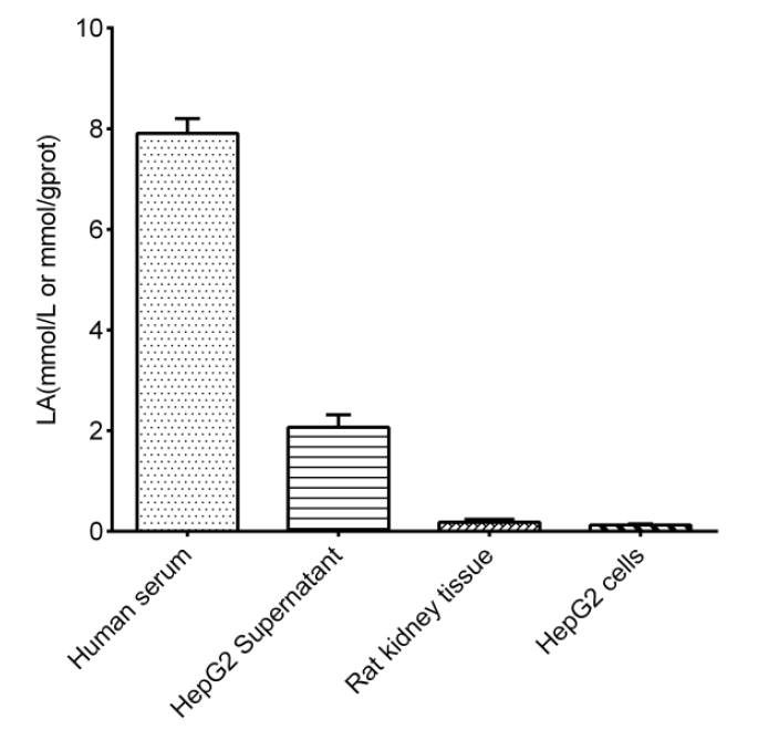 L-Lactic Acid Assay Kit (Colorimetric) [NBP3-25875] - Assay Example