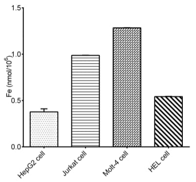 Cell Total Iron (Fe) Assay Kit (Colorimetric) [NBP3-25923] - Assay Example