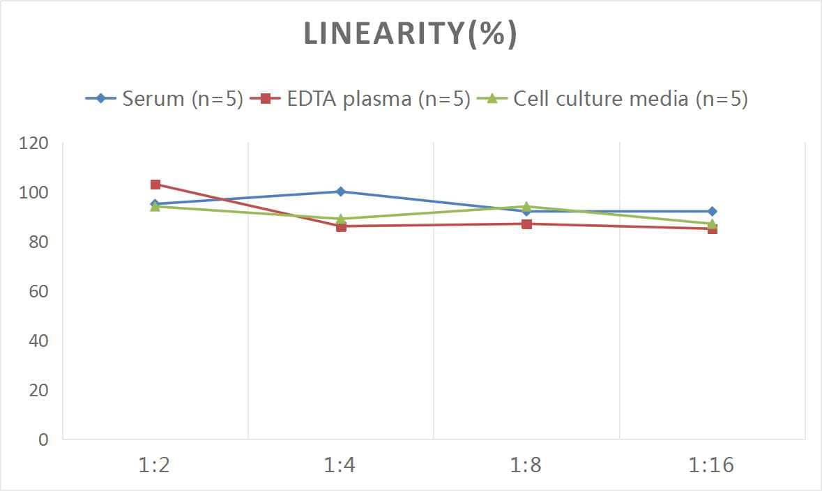ELISA: Human Fibrillin 1 ELISA Kit (Colorimetric) [NBP3-25945] - Samples were spiked with high concentrations of Human Fibrillin 1 and diluted with Reference Standard & Sample Diluent to produce samples with values within the range of the assay.