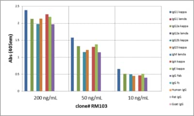 ELISA: Kappa Light Chain Antibody (RM103) - Azide and BSA Free [NBP3-25948] - ELISA of mouse immunoglobulins shows RM103 reacts to the kappa light chain of mouse immunoglobulins. No cross reactivity with the lamda light chain, human IgG (H + L), rat IgG (H + L), or goat IgG (H + L). The plate was coated with 50 ng/well of different immunoglobulins. 200 ng/mL, 50 ng/mL, or 10 ng/mL of RM103 was used as the primary antibody. An alkaline phosphatase conjugated anti-rabbit IgG as the secondary antibody.