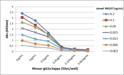 ELISA IgG2a Kappa Antibody (RM107) - Azide and BSA Free