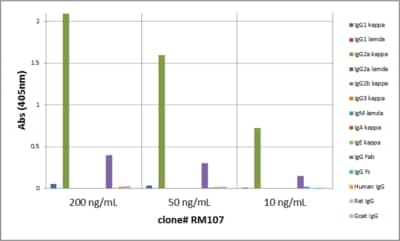 ELISA: IgG2a Kappa Antibody (RM107) - Azide and BSA Free [NBP3-25951] - ELISA of mouse immunoglobulins shows RM107 reacts to the Fab region of mouse IgG2 kappa. No cross reactivity with IgG2al, IgG1, IgG3, IgM, IgA, IgE, human IgG, rat IgG, or goat IgG. The plate was coated with 50 ng/well of different immunoglobulins. 200 ng/mL, 50 ng/mL, or 10 ng/mL of NBP3-25951 was used as the primary antibody. An alkaline phosphatase conjugated anti-rabbit IgG as the secondary antibody.