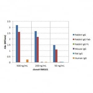 ELISA: IgG F(ab) Antibody (RMG01) - Azide and BSA Free [NBP3-25958] - ELISA of IgGs from different species, shows RMG01 reacts to the Fab region of rabbit IgG; no cross reactivity with human IgG, rat IgG, or mouse IgG. The plate was coated with 50 ng/well of different IgG. 500 ng/mL, 200 ng/mL, or 50 ng/mL of RMG01 was used as the primary antibody. An alkaline phosphatase conjugated anti-goat IgG as the secondary antibody.