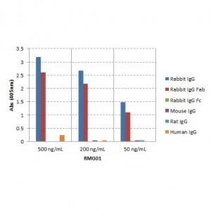 ELISA: IgG F(ab) Antibody (RMG01) - Azide and BSA Free [NBP3-25958] - ELISA of IgGs from different species, shows RMG01 reacts to the Fab region of rabbit IgG; no cross reactivity with human IgG, rat IgG, or mouse IgG. The plate was coated with 50 ng/well of different IgG. 500 ng/mL, 200 ng/mL, or 50 ng/mL of RMG01 was used as the primary antibody. An alkaline phosphatase conjugated anti-goat IgG as the secondary antibody.
