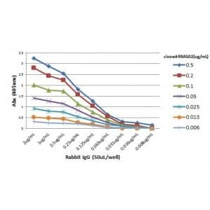 ELISA: IgG Fc Antibody (RMG02) - Azide and BSA Free [NBP3-25959] - A titer ELISA of rabbit IgG. The plate was coated with different amounts of rabbit IgG. A serial dilution of RMG02 was used as the primary antibody. An alkaline phosphatase conjugated anti-goat IgG as the secondary antibody.