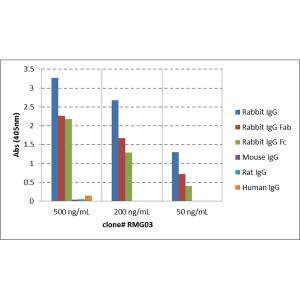 ELISA: IgG Antibody (RMG03) - Azide and BSA Free [NBP3-25960] - ELISA of IgGs from different species shows RMG03 reacts to rabbit IgG; no cross reactivity with human IgG, rat IgG, or mouse IgG. The plate was coated with 50 ng/well of different IgG. 500 ng/mL, 200 ng/mL, or 50 ng/mL of RMG03 was used as the primary antibody. An alkaline phosphatase conjugated anti-goat IgG as the secondary antibody.