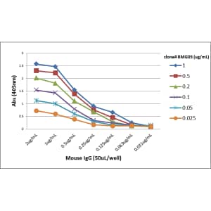 ELISA IgG F(ab) Antibody (RMG05) - Azide and BSA Free