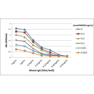ELISA: IgG F(ab) Antibody (RMG05) - Azide and BSA Free [NBP3-25961] - A titer ELISA of mouse IgG. The plate was coated with different amounts of mouse IgG. A serial dilution of RMG05 was used as the primary antibody. An alkaline phosphatase conjugated anti-goat IgG as the secondary antibody.