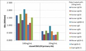 ELISA: Ig Light Chain Antibody (RM129) - Azide and BSA Free [NBP3-25967] - ELISA of human immunoglobulins shows RM129 reacts to both kappa and lambda light chains of human immunoglobulins. No cross reactivity with mouse, rat, or goat immunoglobulin light chain. The plate was coated with 50 ng/well of different immunoglobulins. 100 ng/mL or 20 ng/mL of RM129 was used as the primary antibody. An alkaline phosphatase conjugated anti-rabbit IgG as the secondary antibody.