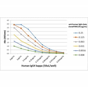 ELISA: Ig Light Chain Antibody (RM129) - Azide and BSA Free [NBP3-25967] - A titer ELISA using RM129. The plate was coated with different amounts of human IgG4k. A serial dilution of RM129 was used as the primary antibody, followed by an alkaline phosphatase conjugated anti-rabbit IgG as the secondary antibody.