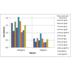 ELISA: Ig Light Chain Antibody (RM129) [NBP3-25967] - ELISA shows that RM129 reacts only to the kappa and lambda light chains in all human immunoglobulins, and does not react to mouse IgG, rat IgG, or goat IgG.