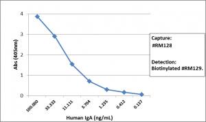Sandwich ELISA: IgA Antibody (RM128) - Azide and BSA Free [NBP3-25969] - Sandwich ELISA using RM128 as the capture antibody (100ng/well), and Biotinylated RM129 (NBP3-18532) as the detection antibody, followed by an alkaline phosphatase conjugated streptavidin.