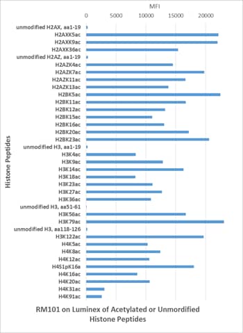 Multiplex Immunoassay: Acetyl-Lysine Antibody (RM101) - Azide and BSA Free [NBP3-25979] - Clone RM101 recognizes acetylated lysine in peptides with different sequences. It does not react with unmodified lysine.