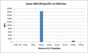 Multiplex Immunoassay: Histone H3 [ac Lys14] Antibody (RM130) - Azide and BSA Free [NBP3-25982] - RM130 specifically reacts to Histone H3 acetylated at Lysine 14 (K14ac). No cross reactivity with acetylated Lysine 4 (K4ac), Lysine 9 (K9ac), Lysine 18 (K18ac), Lysine 23 (K23ac), Lysine 27 (K27ac), Lysine 36 (K36ac), or lysine 79 (K79ac) in histone H3.