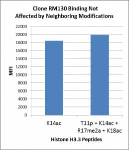 Multiplex Immunoassay: Histone H3 [ac Lys14] Antibody (RM130) - Azide and BSA Free [NBP3-25982] - The binding specificity of RM130 to Histone H3 acetylated at Lysine 14 (K14ac) is not affected by the modification of neighboring amino acids.