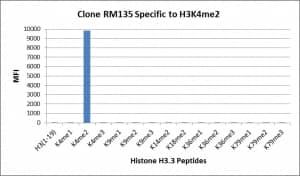 Multiplex Immunoassay: Histone H3 [Dimethyl Lys4] Antibody (RM135) - Azide and BSA Free [NBP3-25985] - RM135 specifically reacts to Histone H3 dimethylated at Lysine 4 (K4me2). No cross reactivity with monomethylated Lysine 4 (K4me1) or trimethylated Lysine 4 (K4me3), or other methylations in histone H3.