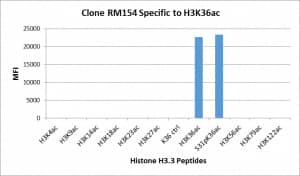 Multiplex Immunoassay: Histone H3 [ac Lys26] Antibody (RM154) - Azide and BSA Free [NBP3-25989] - RM154 specifically reacts to Histone H3 acetylated at Lysine 36 (K36ac), and is not affected by the phosphorylation of neighboring Ser31. No cross reactivity with acetylated Lysine 4 (K4ac), Lysine 9 (K9ac), Lysine 14 (K14ac), Lysine 18 (K18ac), Lysine 23 (K23ac), Lysine 27 (K27ac), Lysine 56 (K56ac), lysine 79 (K79ac), or Lysine 122 (K122) in histone H3.