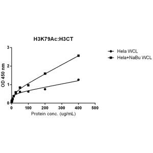 Sandwich ELISA: Histone H3 [ac Lys79] Antibody (RM156) - Azide and BSA Free [NBP3-25990] - Sandwich ELISA against acetylated histone H3 at Lys 79 using Clone RM156 (5 ug/mL) as the capture antibody and another biotinylated Histone H3 (1 ug/mL) as the detection antibody.