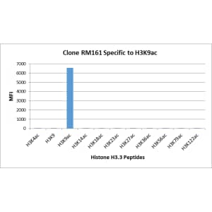 Multiplex Immunoassay: Histone H3 [ac Lys9] Antibody (RM161) - Azide and BSA Free [NBP3-25994] - RM161 specifically reacts to Histone H3 acetylated at Lysine 9 (K9ac). No cross reactivity with acetylated Lysine 4 (K4ac), Lysine 14 (K14ac), Lysine 18 (K18ac), Lysine 23 (K23ac), Lysine 27 (K27ac), Lysine 36 (K36ac), Lysine 56 (K56ac), lysine 79 (K79ac), or Lysine 122 (K122) in histone H3.