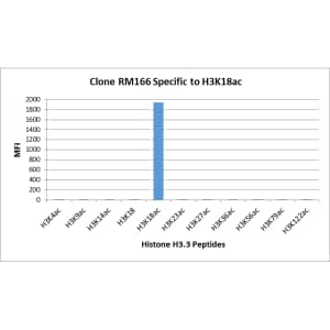 Multiplex Immunoassay: Histone H3 [ac Lys18] Antibody (RM166) - Azide and BSA Free [NBP3-25995] - RM166 specifically reacts to Histone H3 acetylated at Lysine 18 (K18ac). No cross reactivity with acetylated Lysine 4 (K4ac), Lysine 9 (K9ac), Lysine 14 (K14ac), Lysine 23 (K23ac), Lysine 27 (K27ac), Lysine 36 (K36ac), Lysine 56 (K56ac), lysine 79 (K79ac), or Lysine 122 (K122) in histone H3.