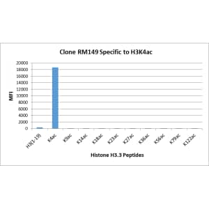 Multiplex Immunoassay: Histone H3 [ac Lys4] Antibody (RM149) - Azide and BSA Free [NBP3-26000] - RM149 specifically reacts to Histone H3 acetylated at Lysine 4. No cross reactivity with non-modified Lysine 4, acetylated Lysine 9, Lysine 14, Lysine 18, Lysine 23, Lysine 27, Lysine 36, Lysine 56, lysine 79, or Lysine 122 in histone H3.