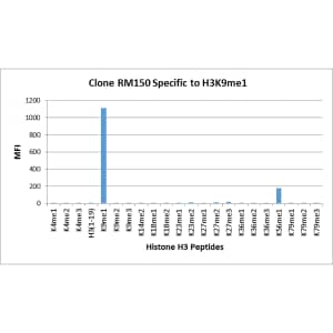 Multiplex Immunoassay: Histone H3 [Monomethyl Lys9] Antibody (RM150) - Azide and BSA Free [NBP3-26001] - RM150 specifically reacts to Histone H3 monomethylated at Lysine 9 (K9me1). No cross reactivity with non-modified Lysine 9, dimethylated Lysine 9 (K9me2), trimethylated Lysine 4 (K9me3), or other methylations in histone H3.