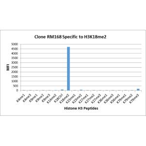 Multiplex Immunoassay: Histone H3 [Dimethyl Lys18] Antibody (RM168) - Azide and BSA Free [NBP3-26003] - RM168 specifically reacts to Histone H3 dimethylated at Lysine 18 (K18me2). No cross reactivity with other methylated lysines in Histone H3.